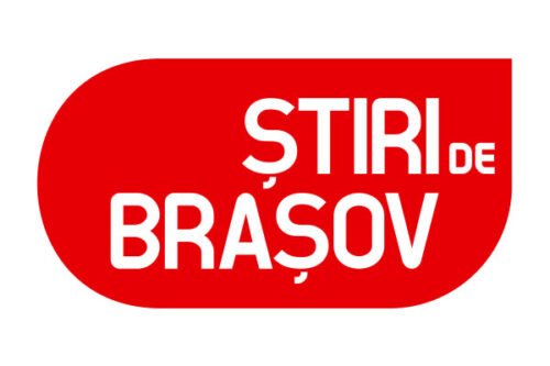 Logo Parteneri BST test export artboardArtboard 34